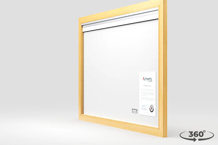 360 view of the product