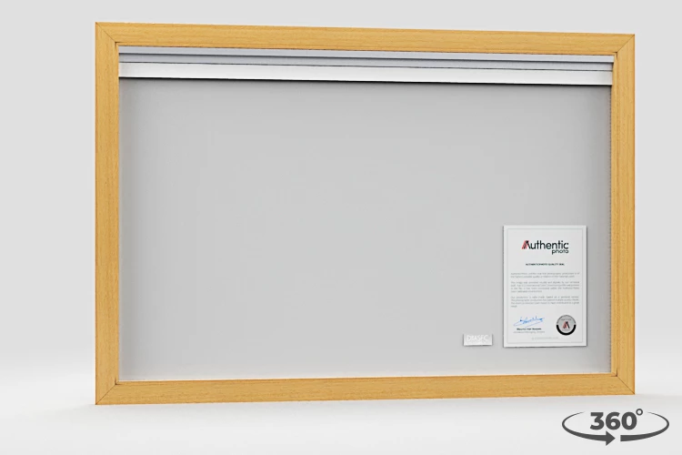 360 view of the product