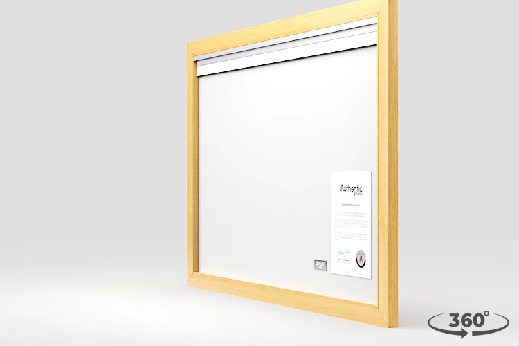 360 view of the product