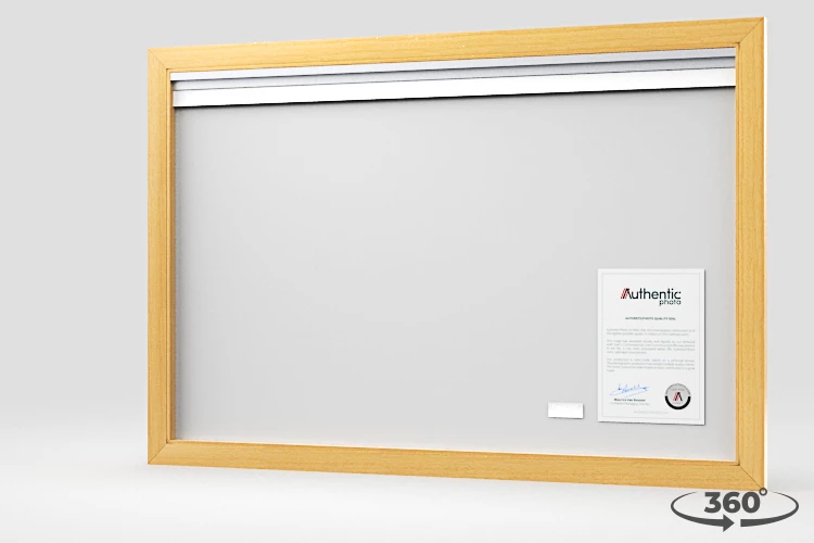 360 view of the product