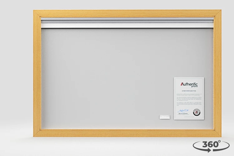 360 view of the product