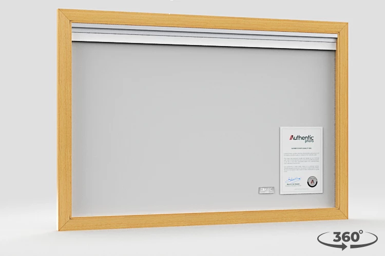 360 view of the product