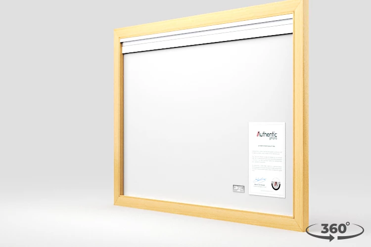 360 view of the product