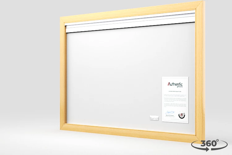 360 view of the product