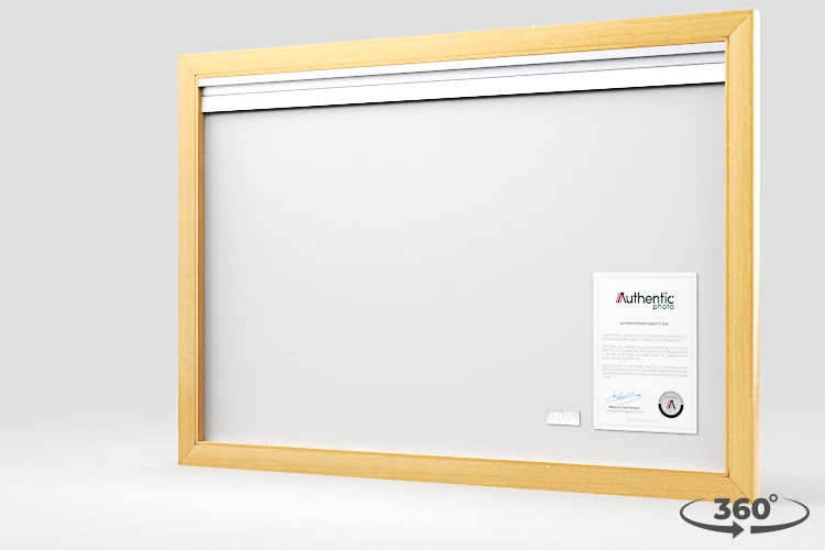 360 view of the product