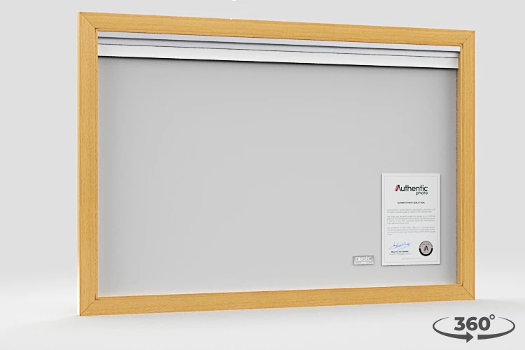 360 view of the product