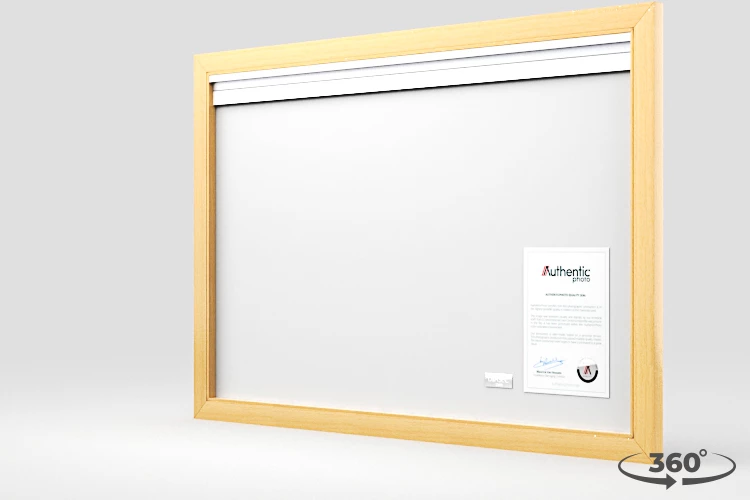 360 view of the product