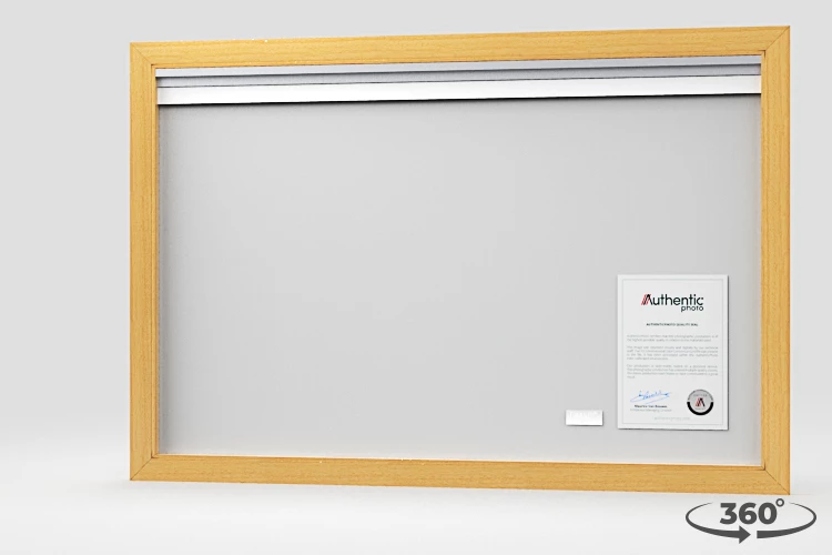 360 view of the product