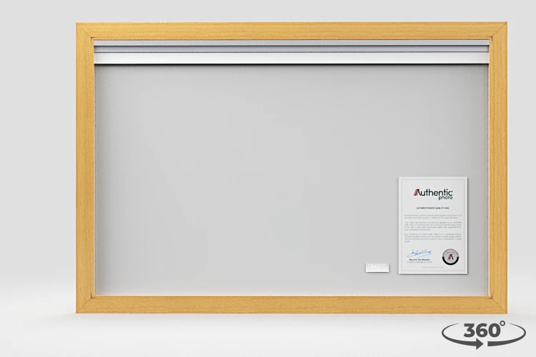 360 view of the product