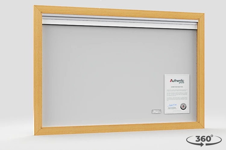 360 view of the product