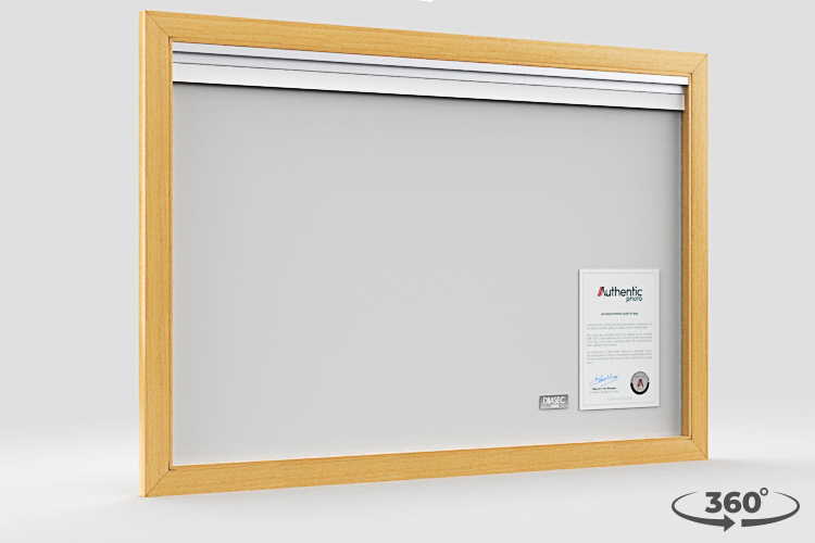 360 view of the product