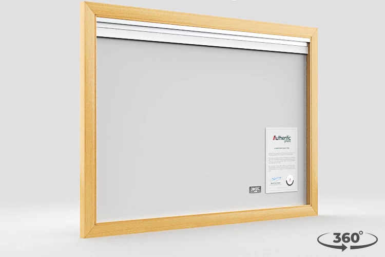 360 view of the product