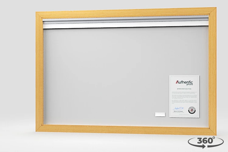 360 view of the product