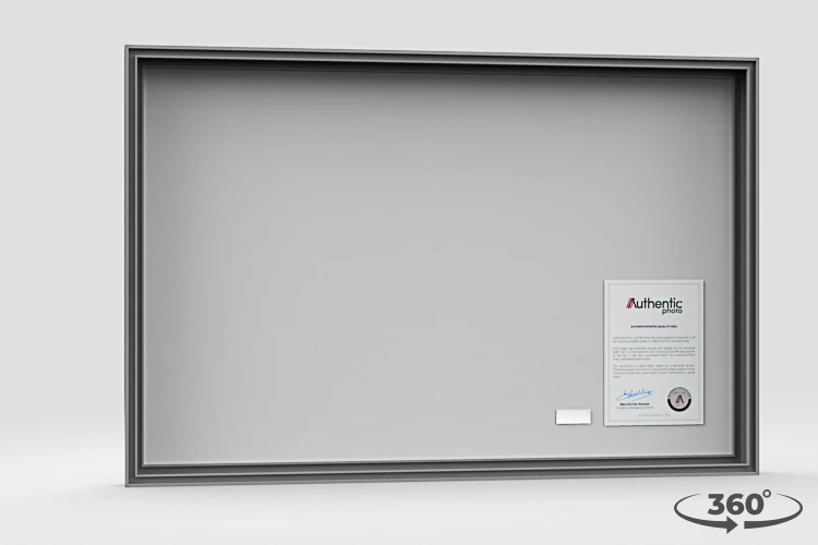 360 view of the product