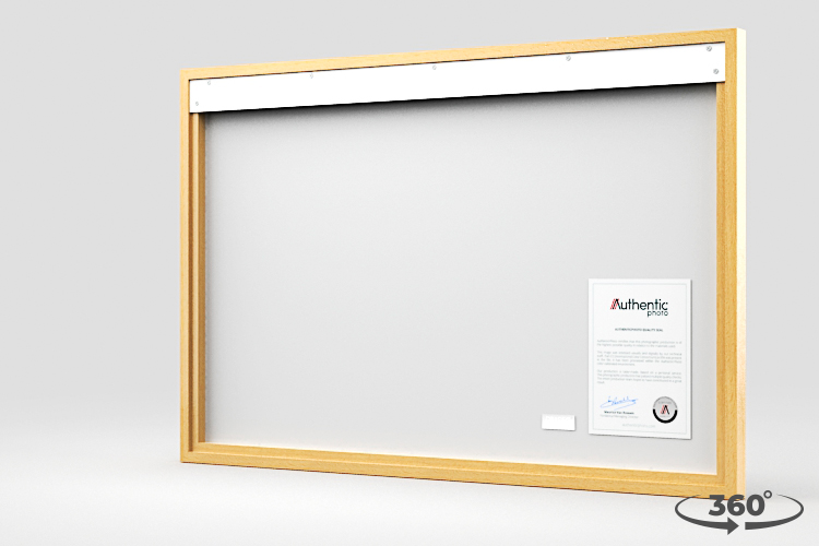 360 view of the product