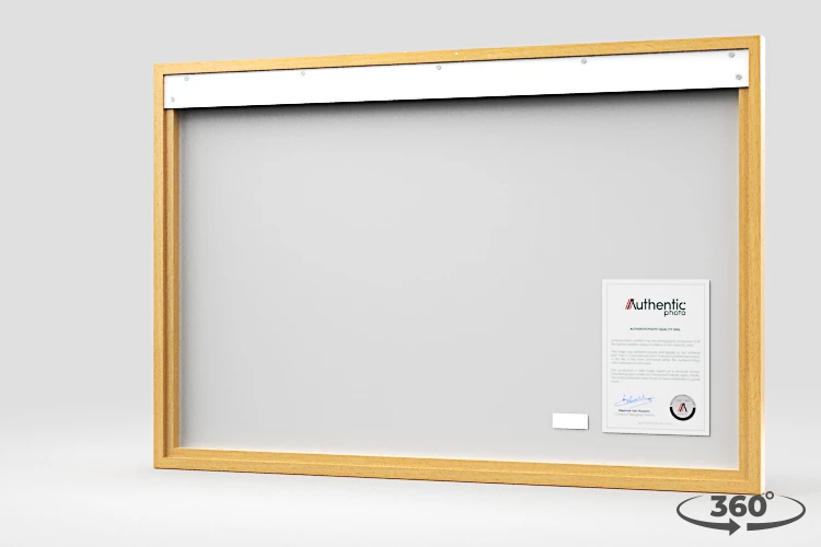 360 view of the product