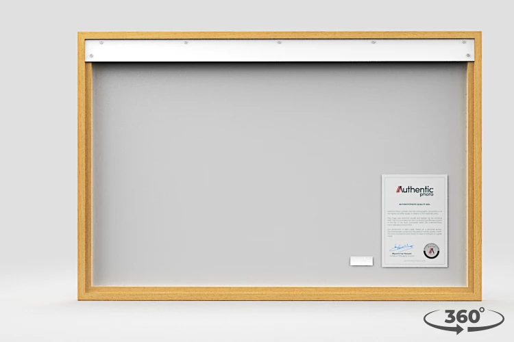 360 view of the product