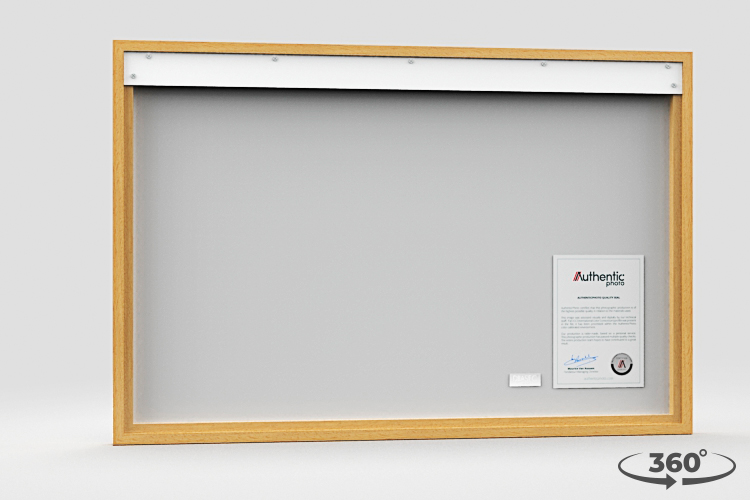 360 view of the product