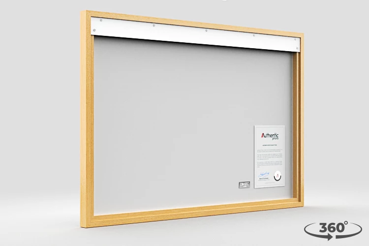 360 view of the product