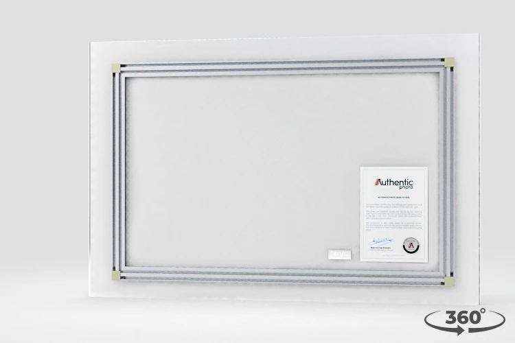 360 view of the product