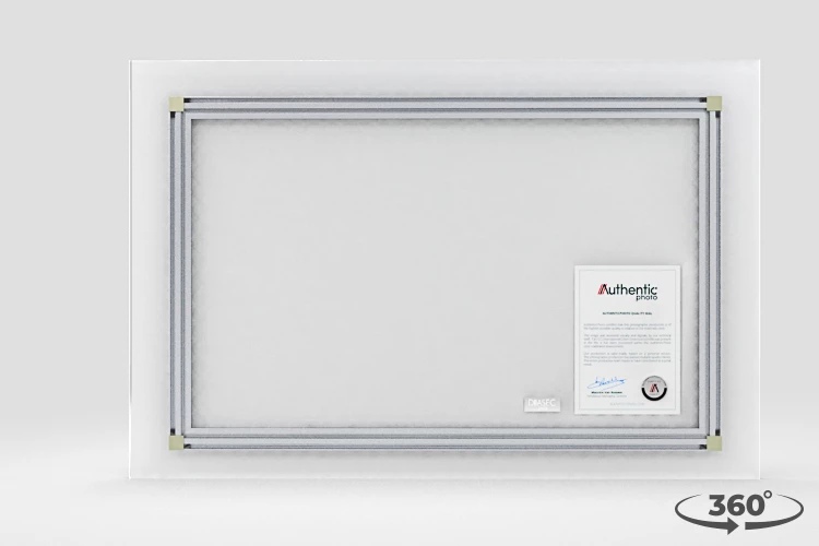 360 view of the product