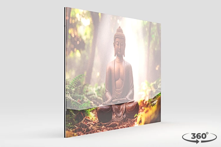 360 view of the product