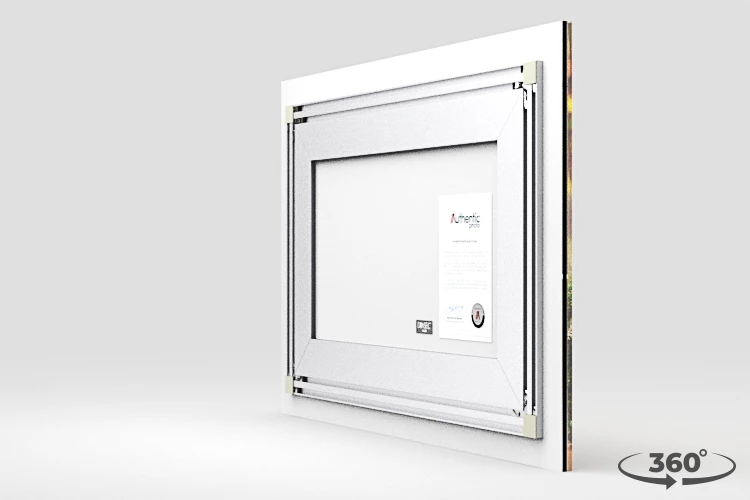 360 view of the product