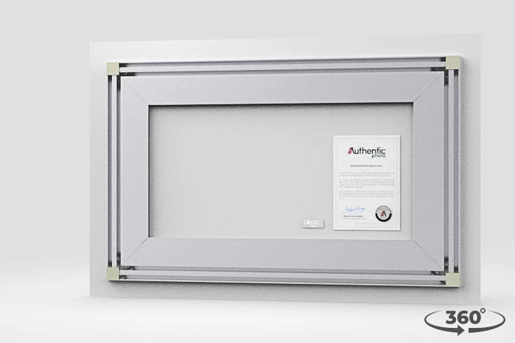 360 view of the product