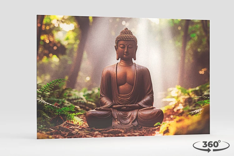 360 view of the product