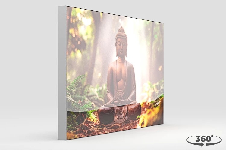 360 view of the product