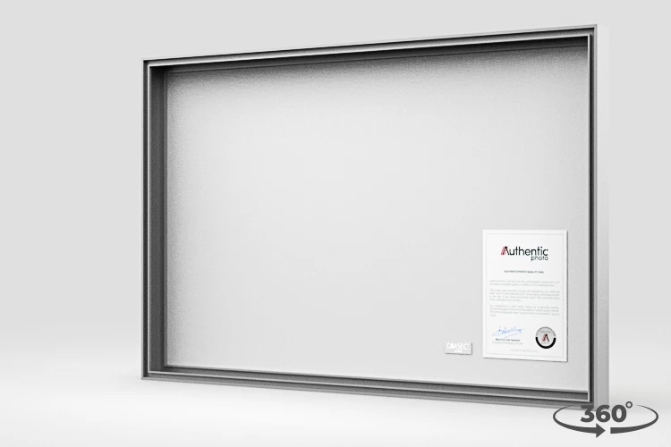 360 view of the product