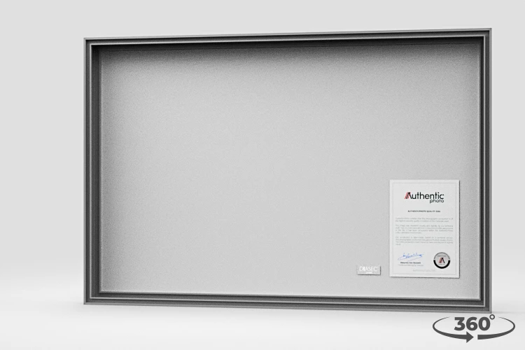 360 view of the product