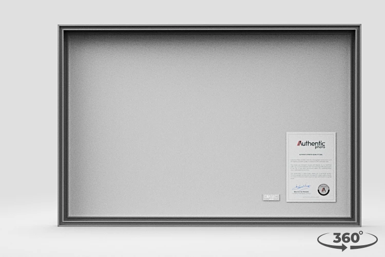 360 view of the product