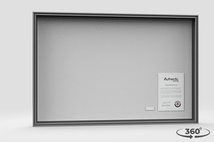 360 view of the product