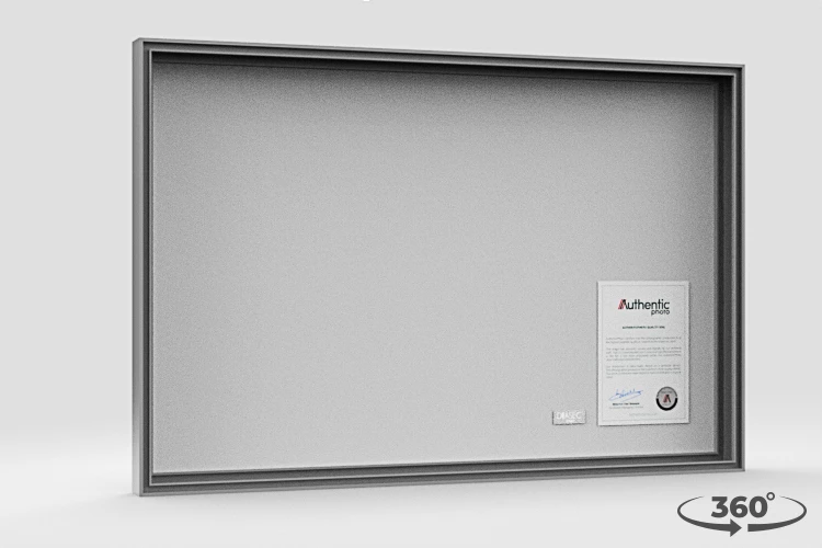 360 view of the product