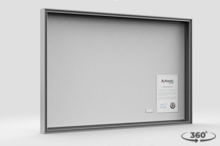 360 view of the product