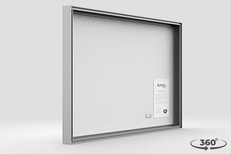 360 view of the product