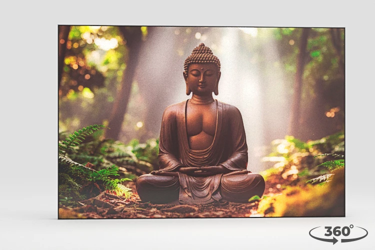 360 view of the product