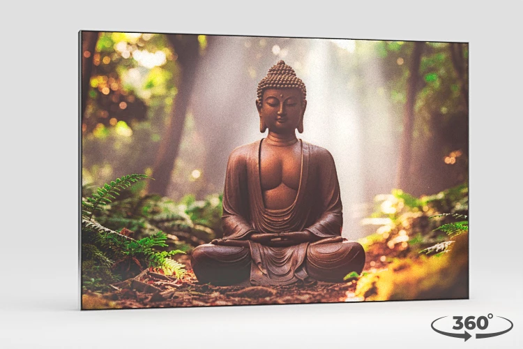 360 view of the product