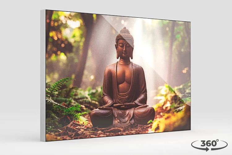 360 view of the product