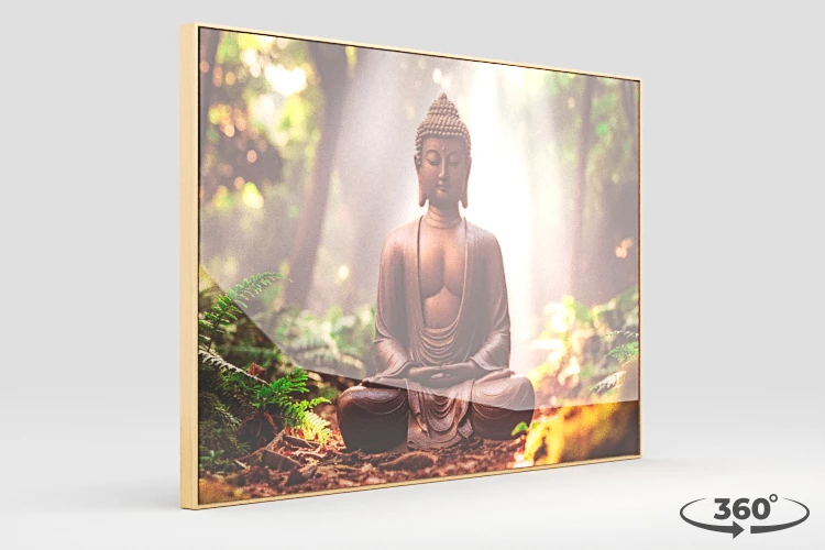 360 view of the product