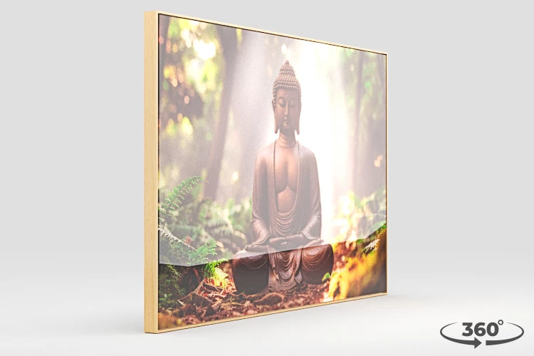 360 view of the product