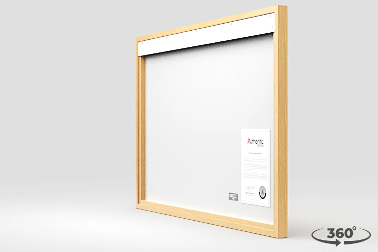 360 view of the product