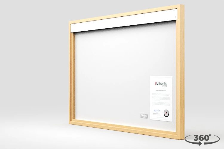 360 view of the product