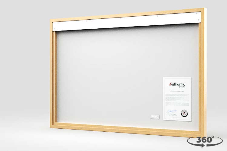 360 view of the product