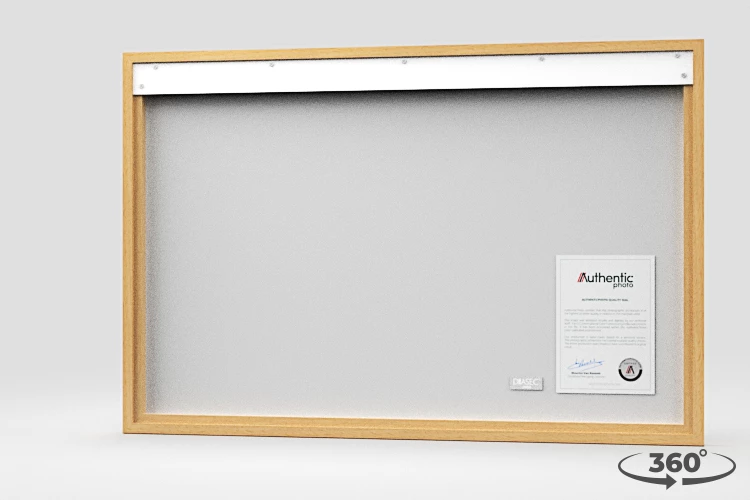 360 view of the product