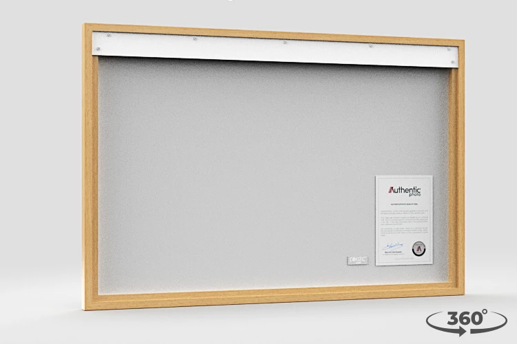 360 view of the product