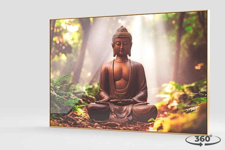 360 view of the product