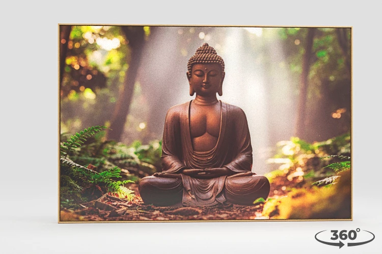 360 view of the product