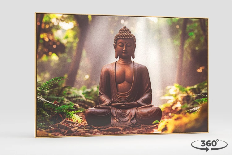 360 view of the product